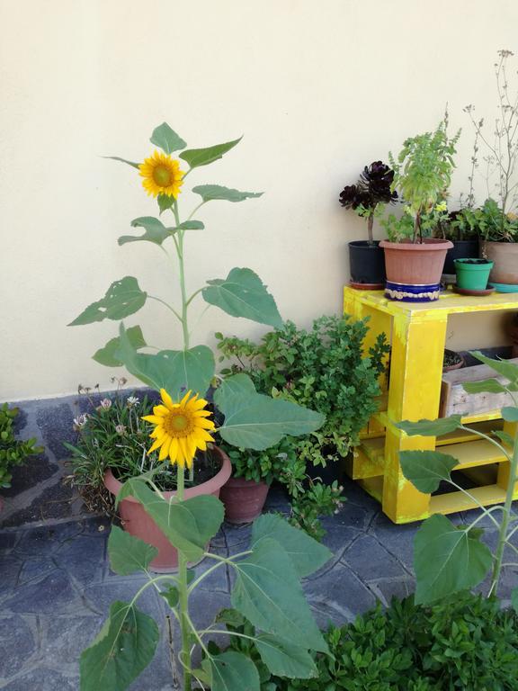 The Yellow House Fiumicino Exterior foto